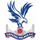 Crystal Palace matchtröja